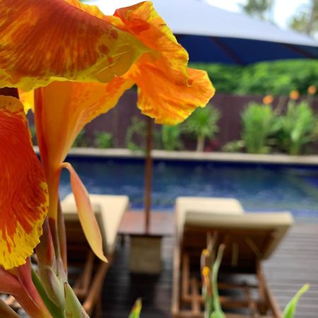 Relax Villas Гили-Эйр Экстерьер фото